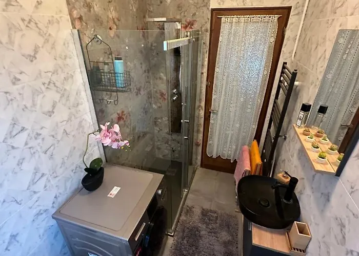 Gasthuis Coco Mestre